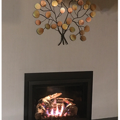 Mendota-Gas Fireplaces-Insert-Jefferson-city-mo
